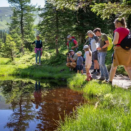 Апартаменты Isabel *