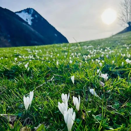 Isabel * Раурис