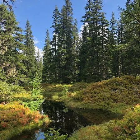 Isabel アパート *