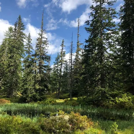 Isabel アパート *